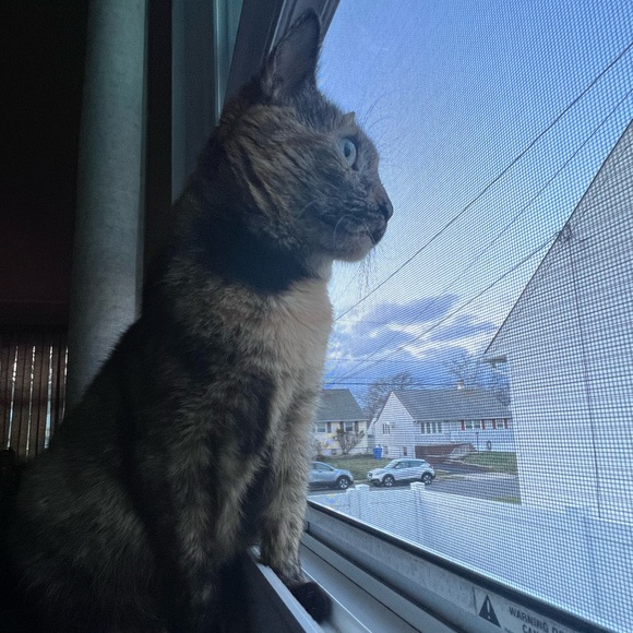 Meet your Posher, Shannon - Picture 3 of 3